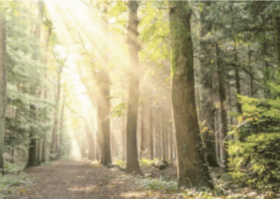 “Miraculous Coincidences” – Spiritual Exploration Discussion (online)